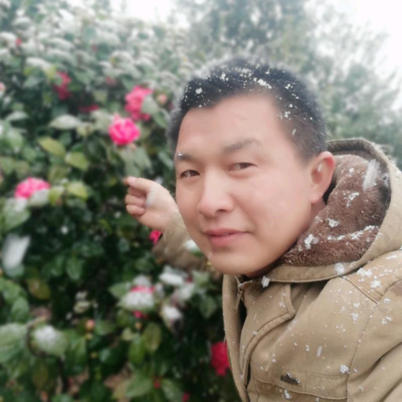 广西中联重科明星吊车维修