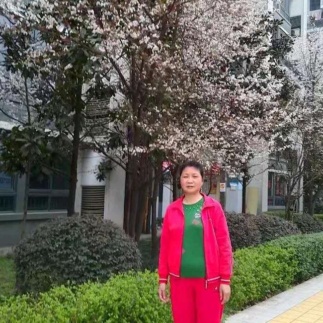 大游