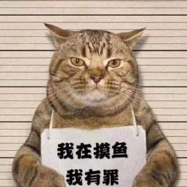 调三目钓三天