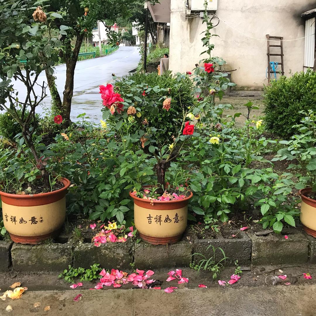 千里之行始于足下