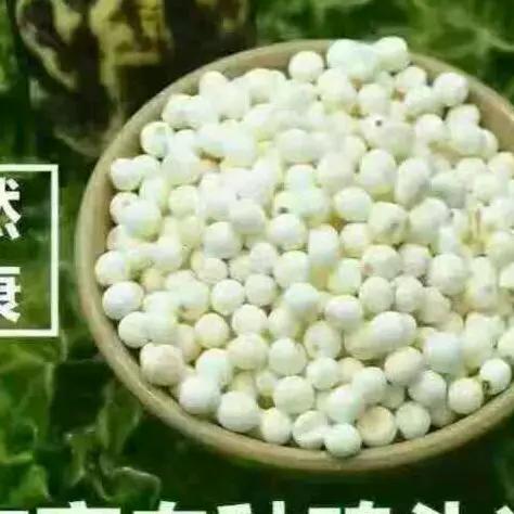 老玩童