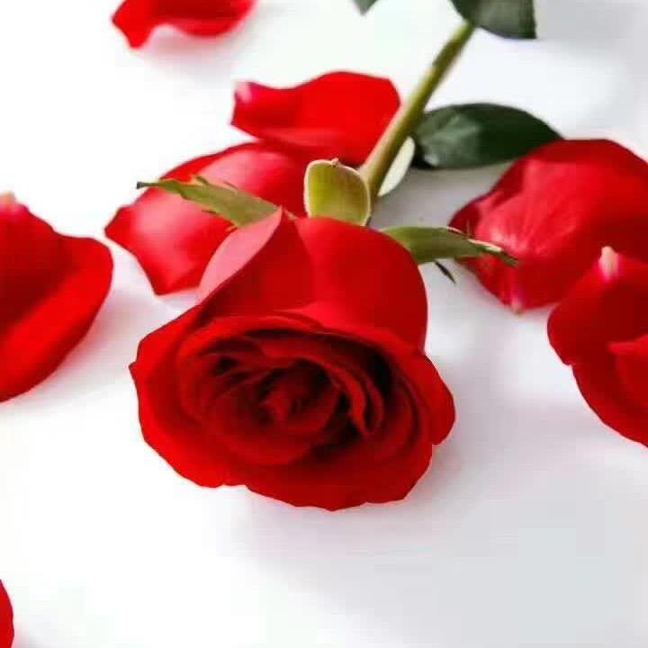 海之蓝用户3319126461632