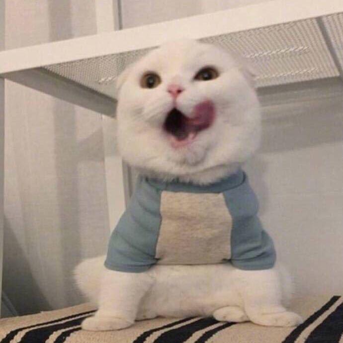 塔哭米