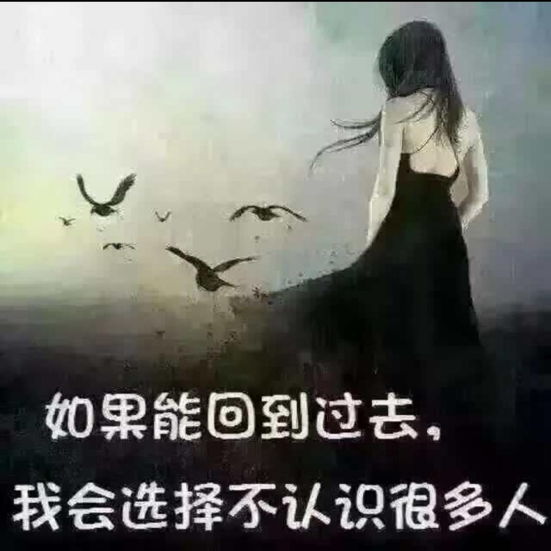 有何不可