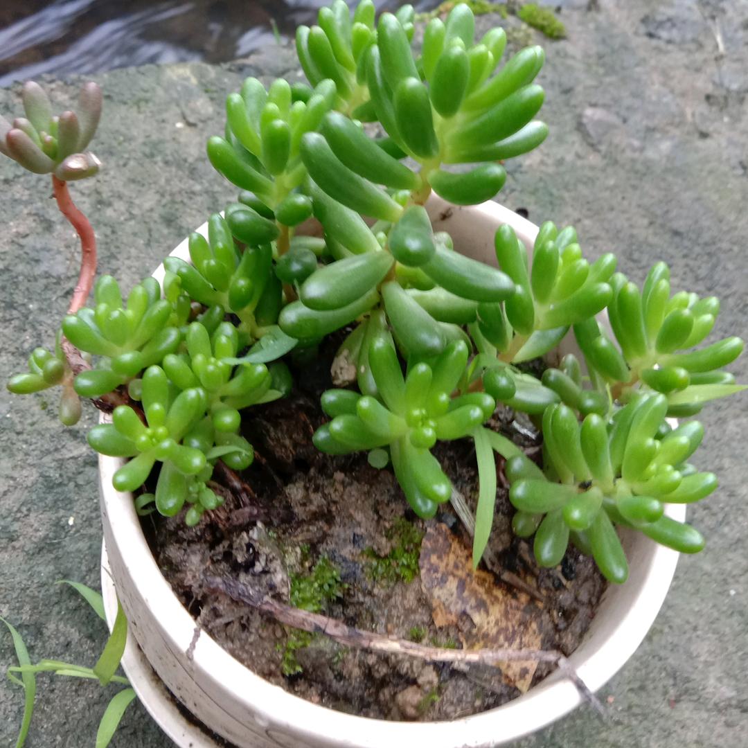 用户冰雪2727383727465