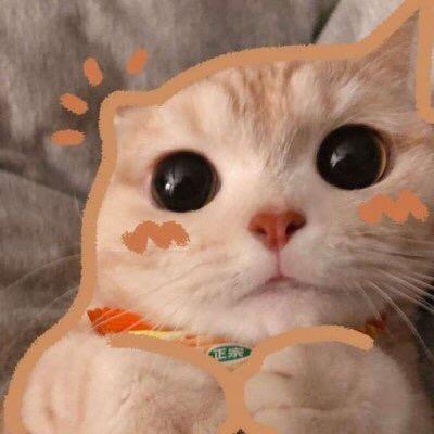 🌟故事