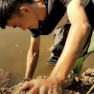 打野小娃娃