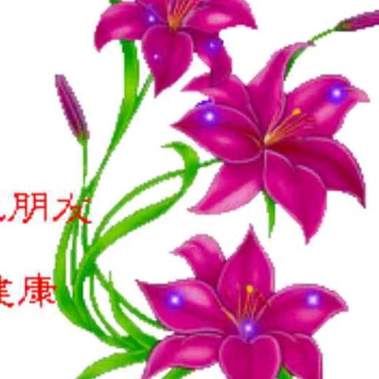 老余头=追梦