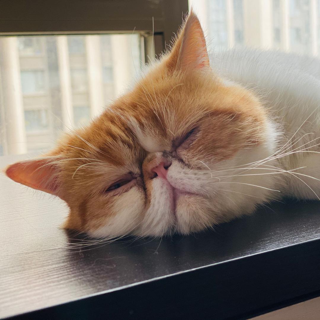 用户名和密码都忘掉