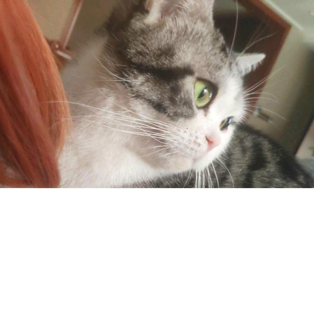 用户  释怀  809080387712