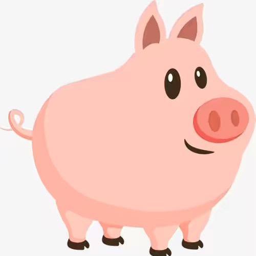 德阳菲斯塔车友会会长