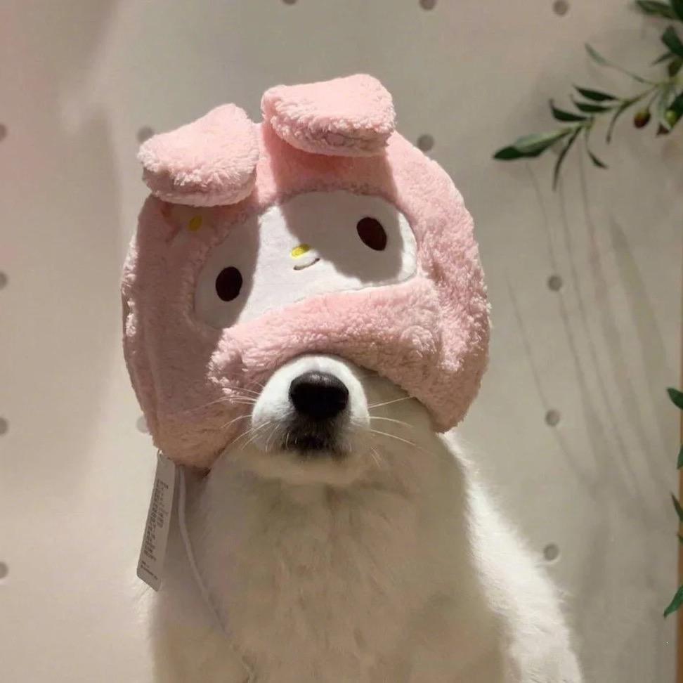 滑县全屋擦窗🪟