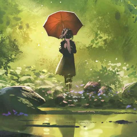 雨