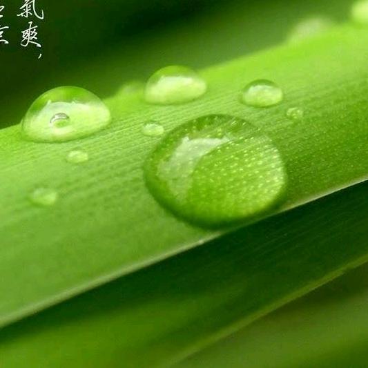 o岁月如歌o