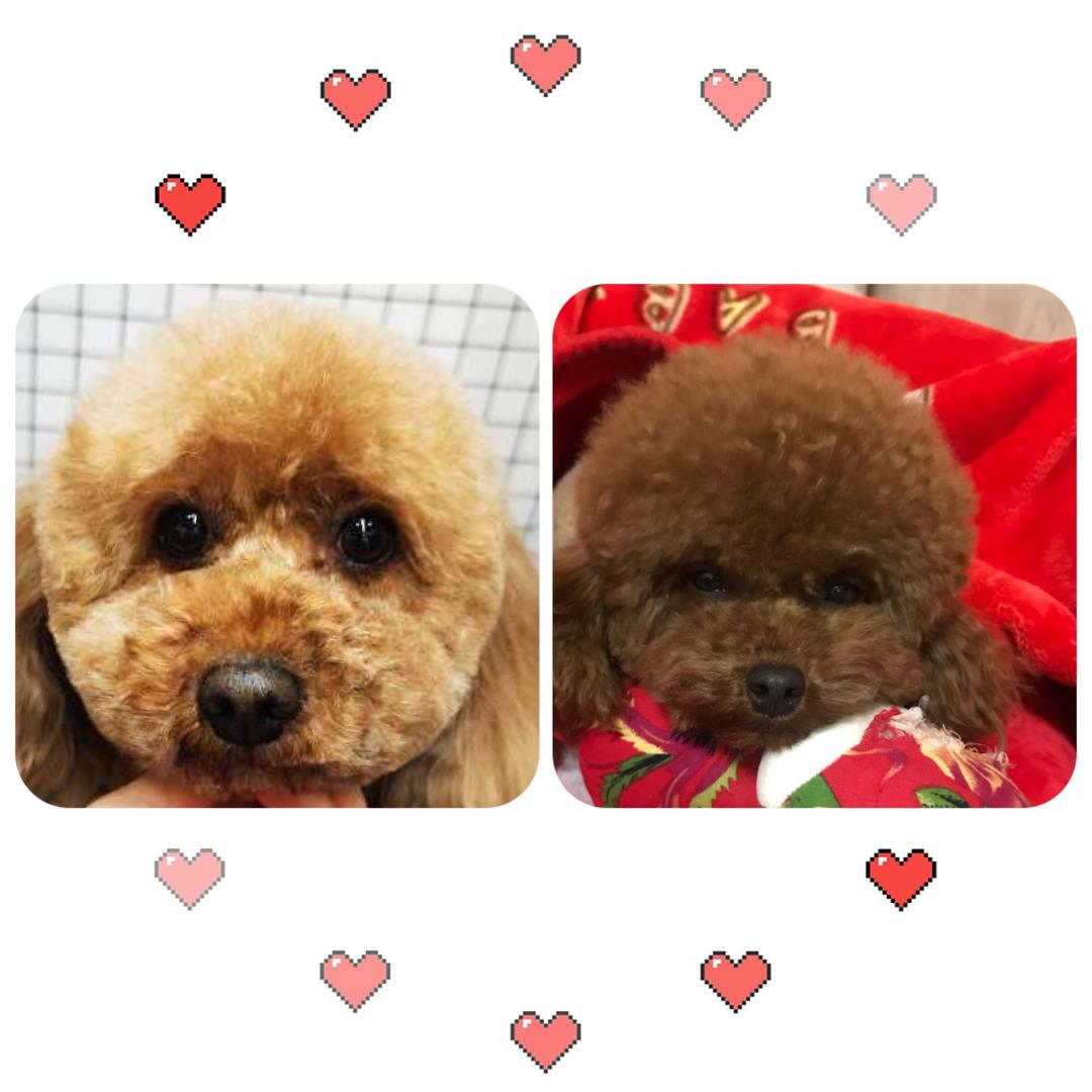 蝴蝶（拒绝私聊）