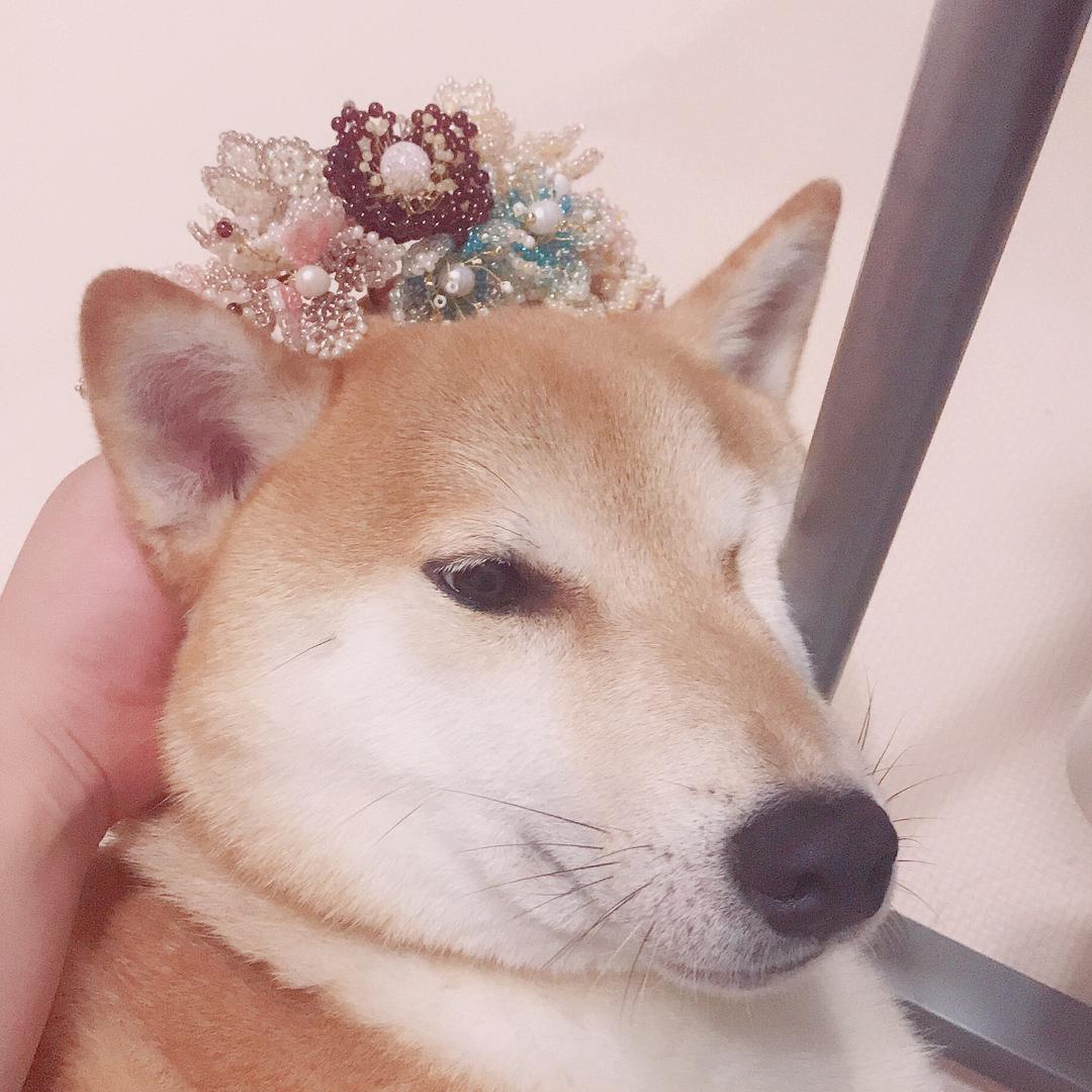 老晒说事儿