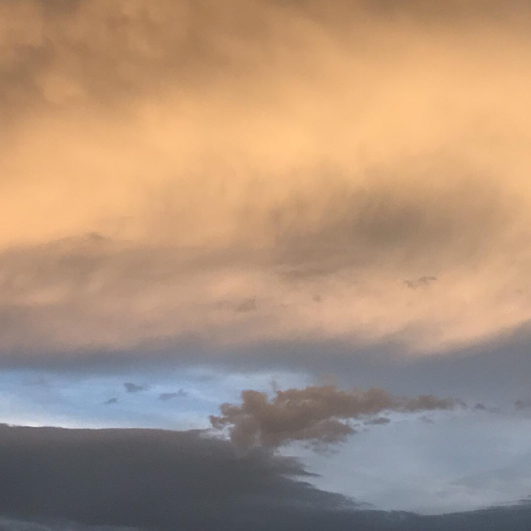 東晨驾校衷教练