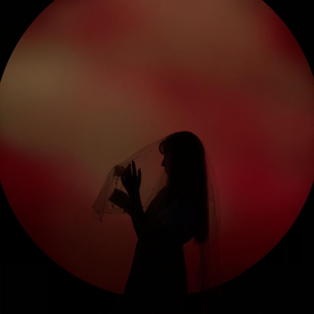 nazila 妈咪 好物分享