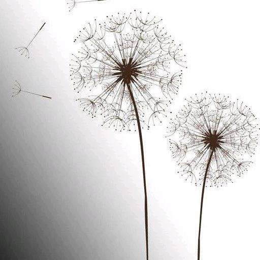 🌈 ୧⍤⃝🍒抚风୧⍤⃝🍒