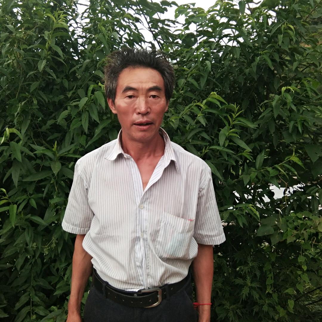 蜂群主