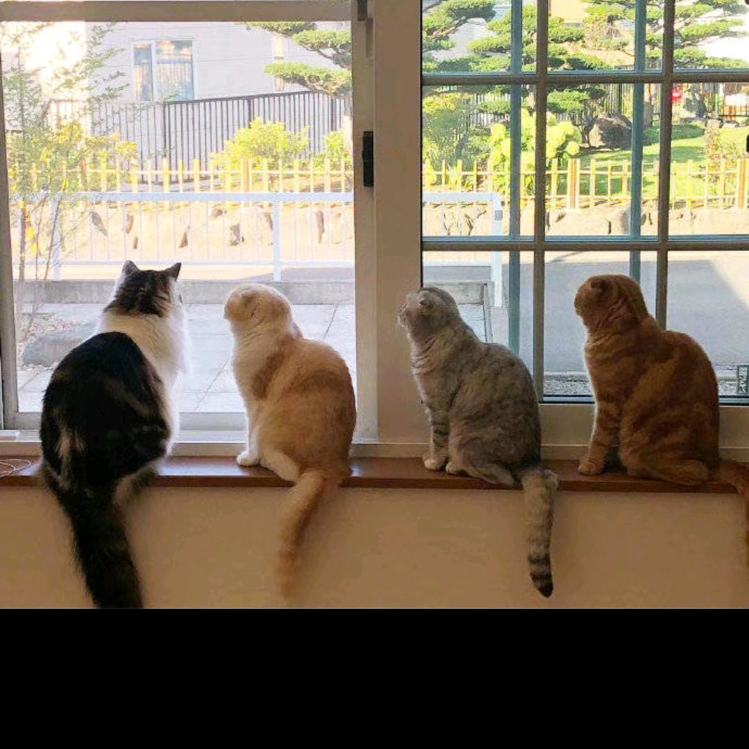 多啦A梦