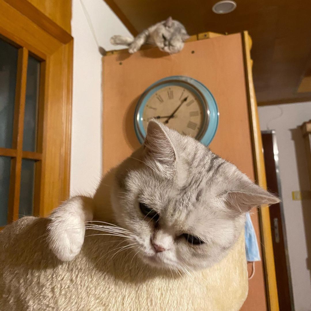 玥玥&芙芙都是小公举