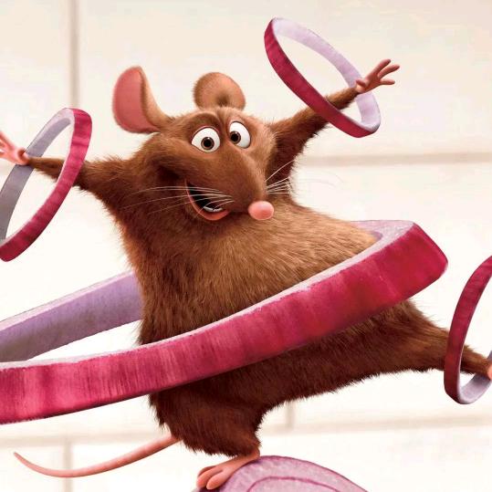 手机用户68609652076