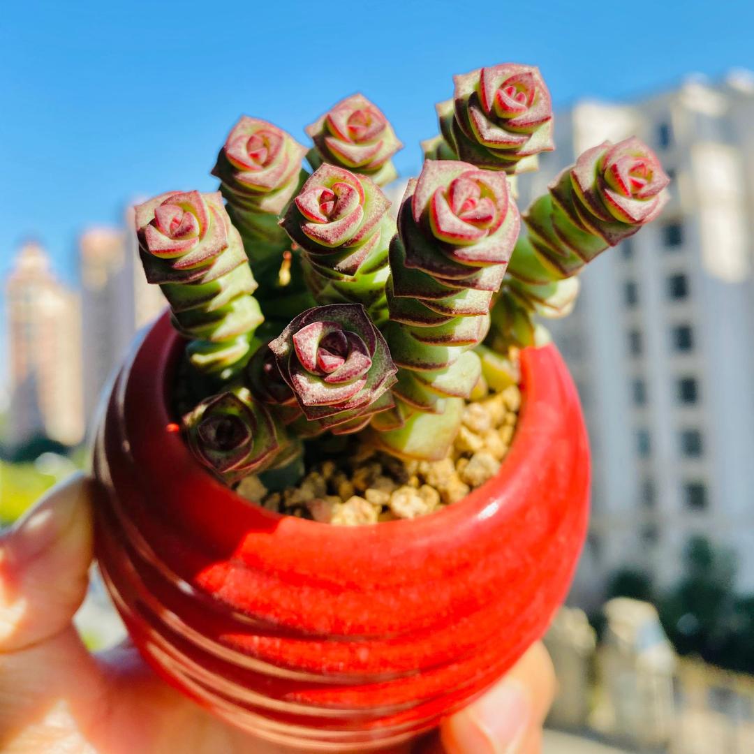 豆妈时光