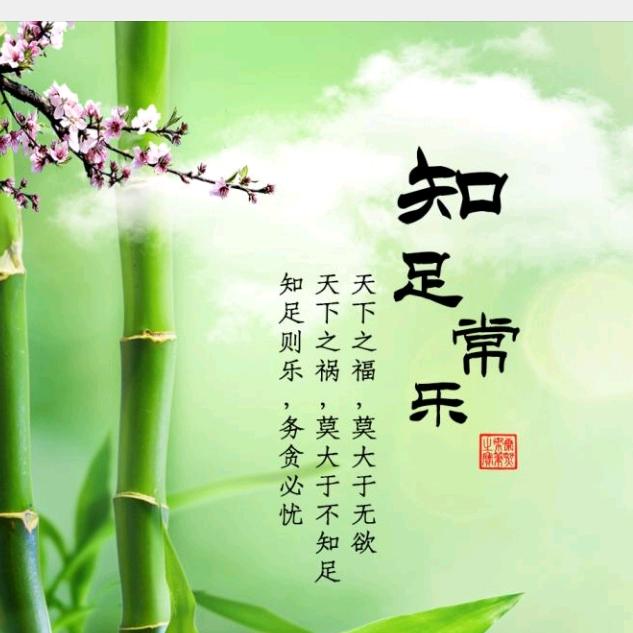 实话实说