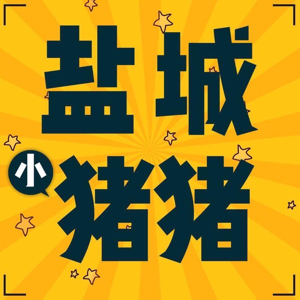 盐城小猪猪