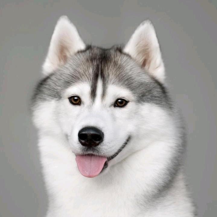 真爱永恒！