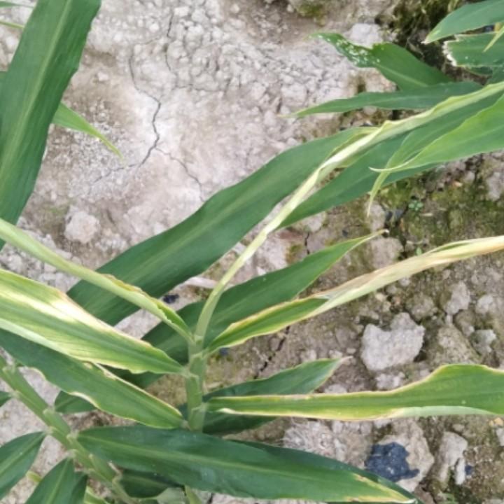 用户5331944236573