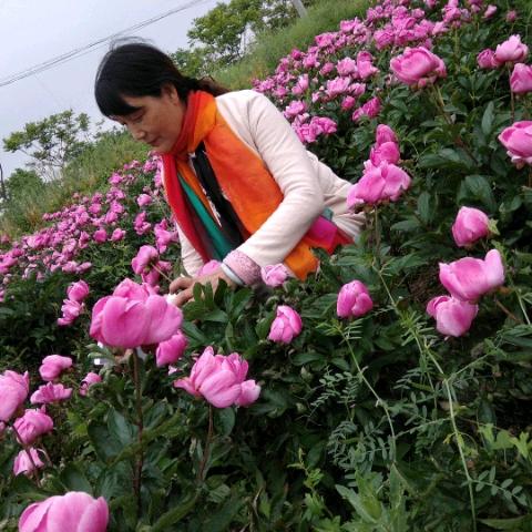 平安是福