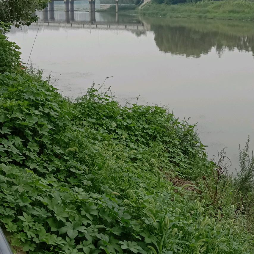 漂泊的猎人