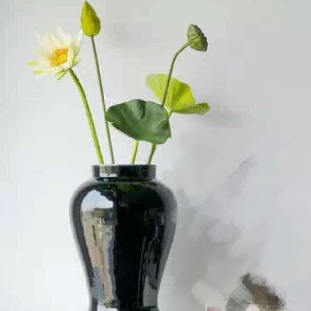 豫越闽