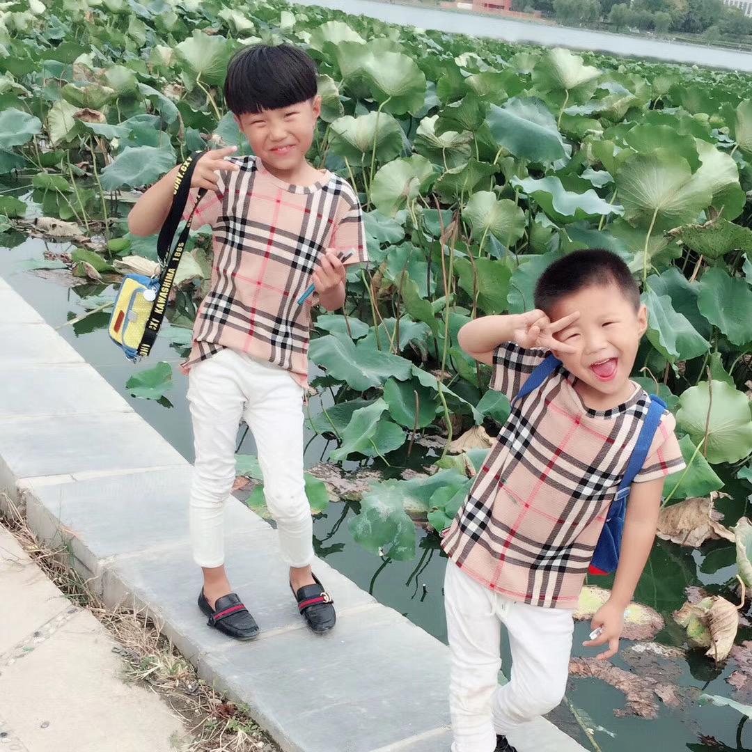 景美苗木种植农民专业合作社