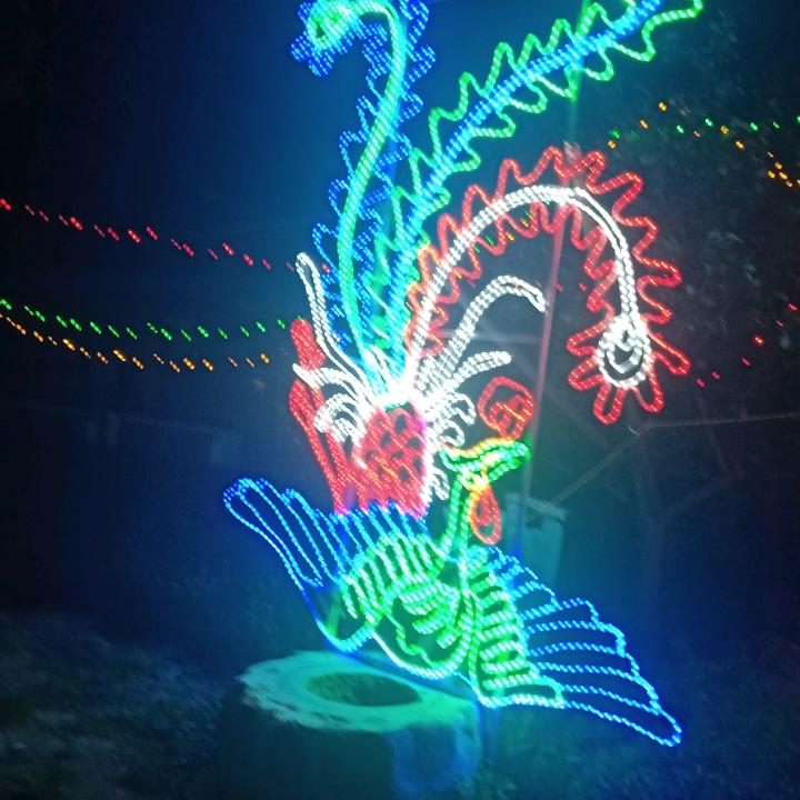 姐很拽