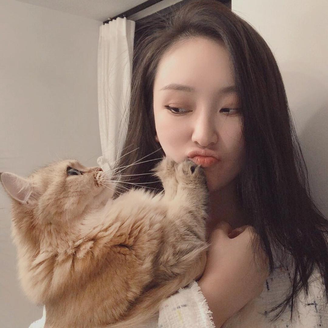 小猪佩奇🐱