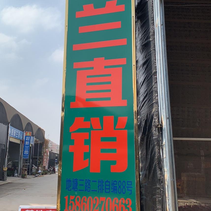 随缘