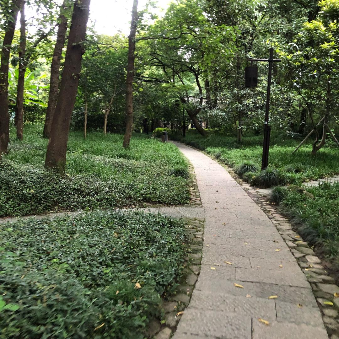 墙板木饰面厂家