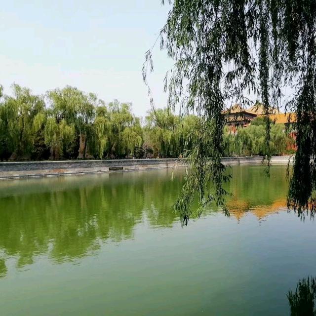 开💕心