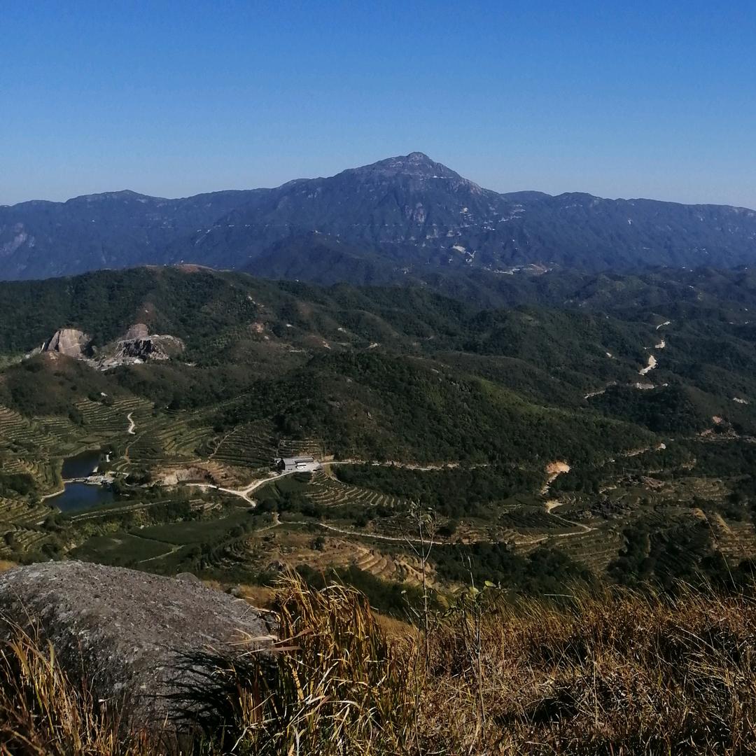 木子李