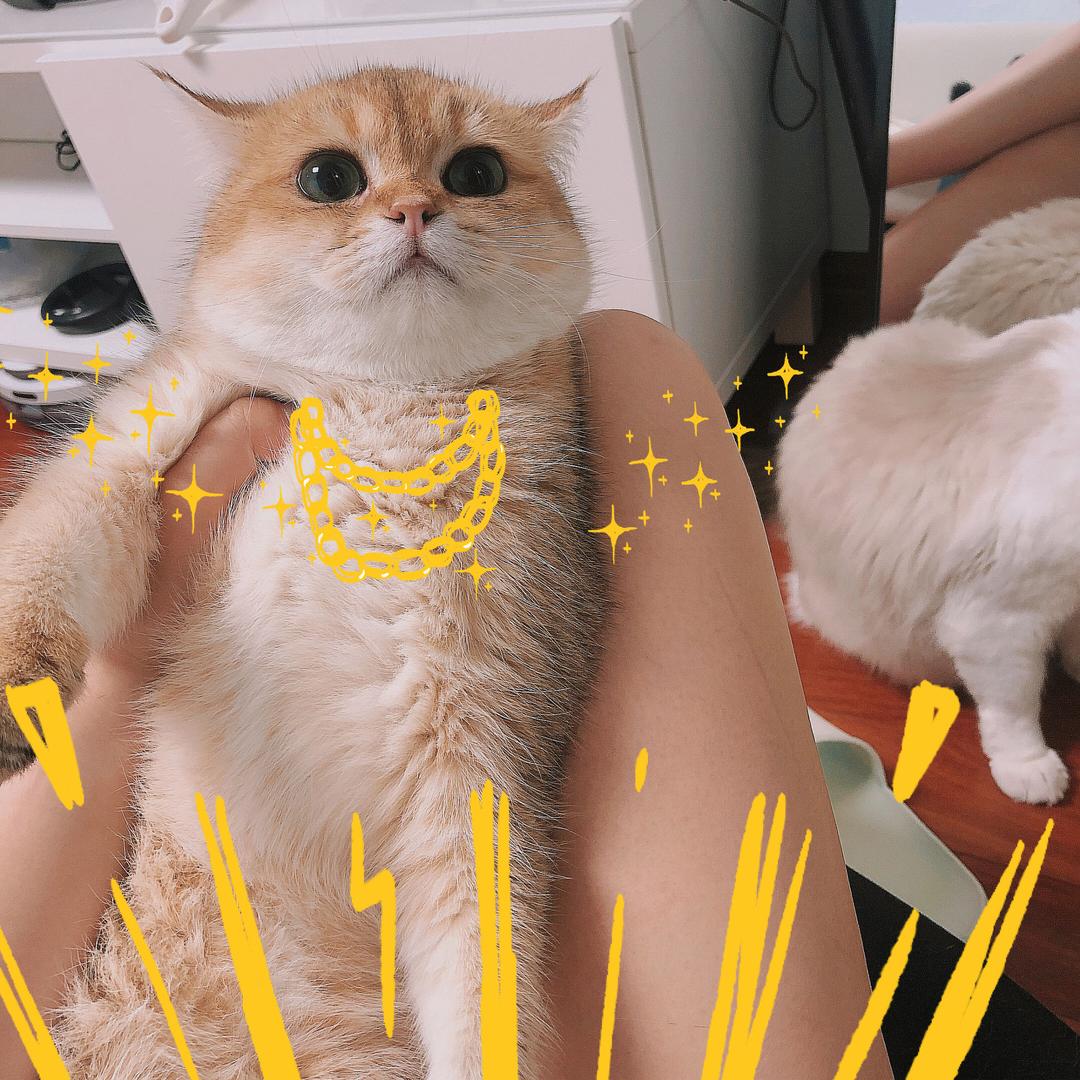 Juju