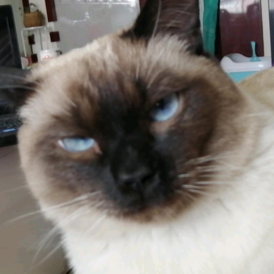 張同学的日常生活