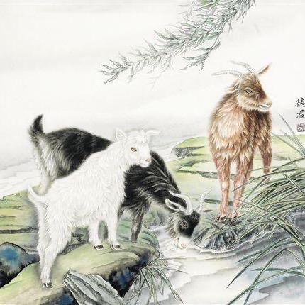 委庄赵权帅活羊交易