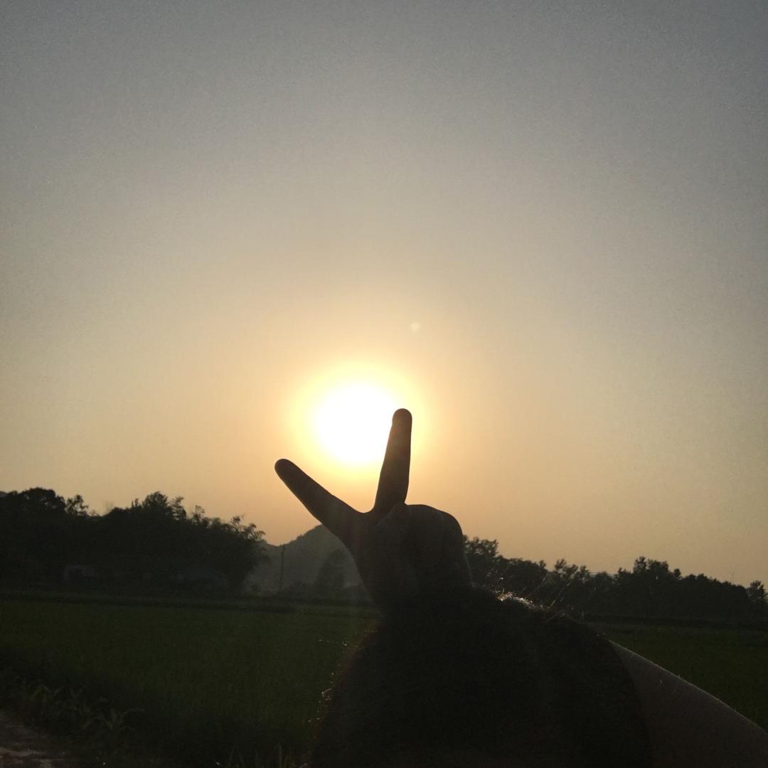 💐~仙人球~💐