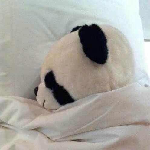 大胖子——通透