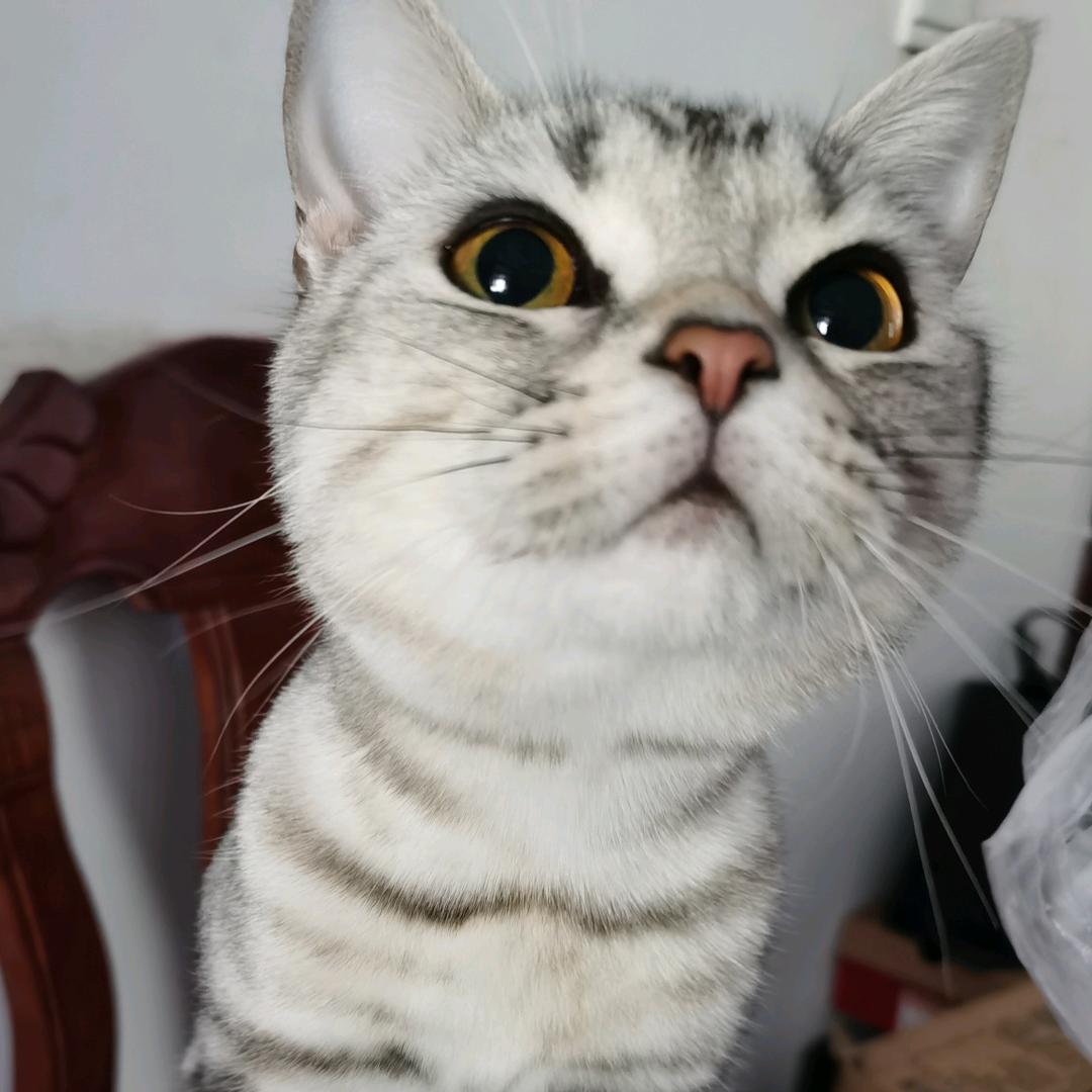 我的爱