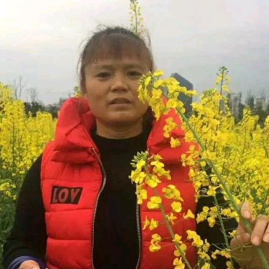 辉姐