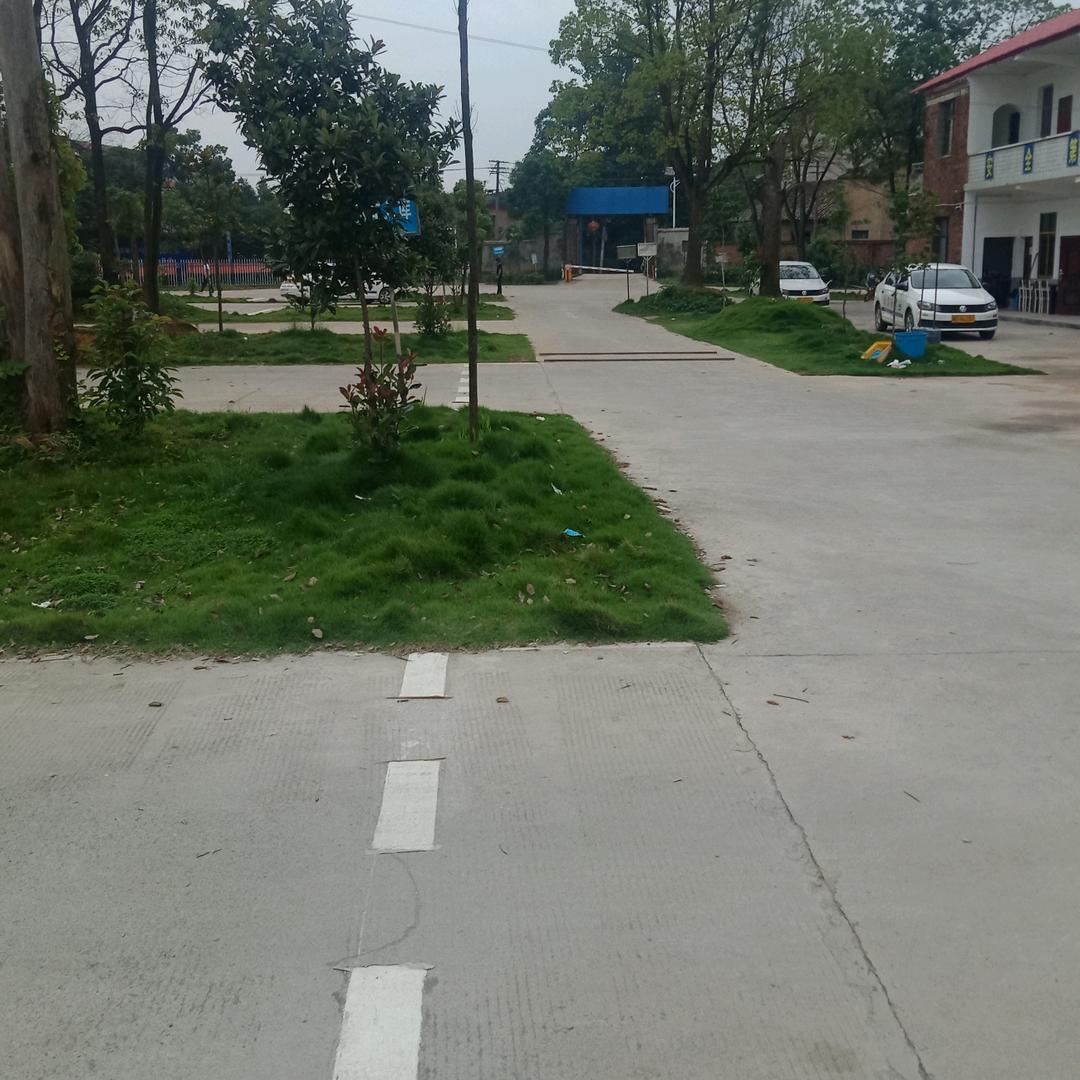 衡阳万顺驾校李才文